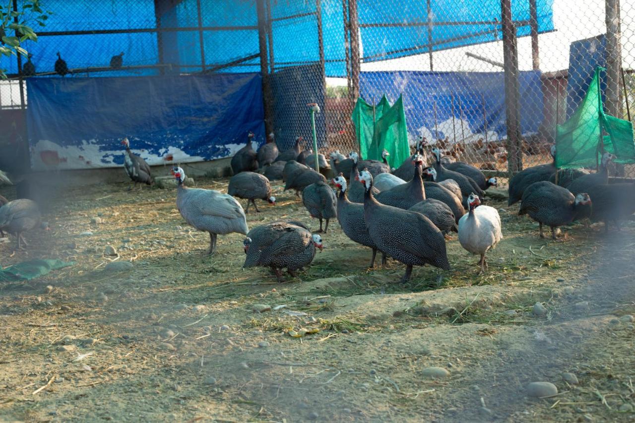 Lumbini Palace Resort エクステリア 写真